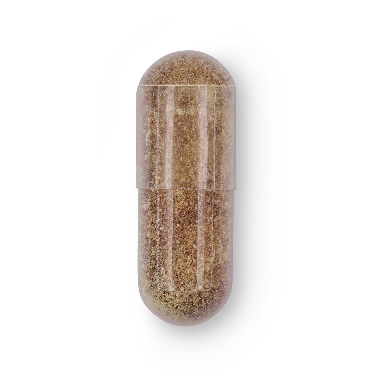 Hivita Milk Thistle Capsule