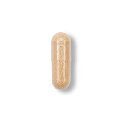 Ginseng